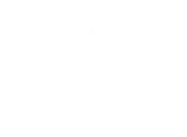 dama sparkle house cleaning services